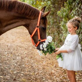 vestido blanco plumeti bebé niña con lazos plata y manga francesa