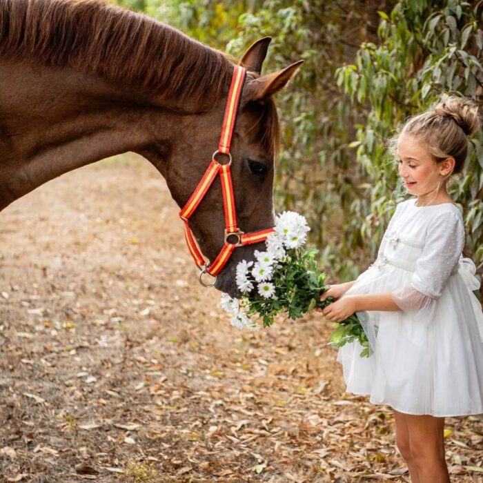 vestido blanco plumeti bebé niña con lazos plata y manga francesa